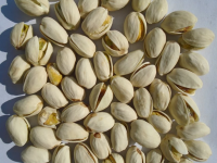 Quality and Sell Wholesale Pistachio Nuts / Pistachios Kernel for Sale 