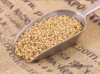 Quality and Sell Pure Oat Grain Oats/Hulled Oats