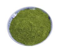 Quality and Sell  Vegetable Powder 