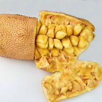 Quality and Sell  Fresh Jackfruit 