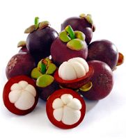 Quality and Sell  Mangosteen Fruit 