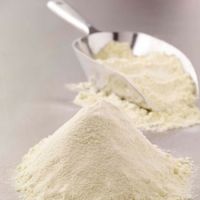 Quality and Sell  Butter Milk Powder