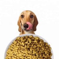 Quality and Sell  Dog Food 