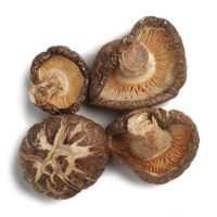Quality and Sell  AD Dried Shiitake Mushrooms price 