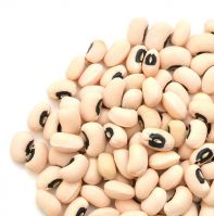 Quality and Sell White Cowpea/Black Eye Bean (Vigna Beans) 