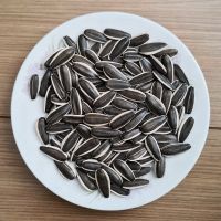 Quality and Sell  Wholesale Sunflower Kernels / Sunflower Seeds / High Quality Black Sunflower Seeds