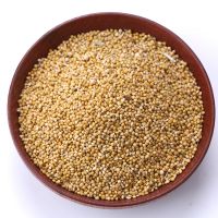 Quality and Sell  Green Millet /Best quality/ competitive price/Fast delivery time