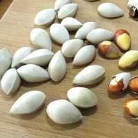 Quality and Sell Ginkgo Nuts ,Peeled Ginkgo Nuts,Raw Ginkgo Nuts 