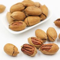 Quality and Sell Organic Dry Nuts for Peacan Nut