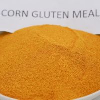 Quality and Sell animal feed corn gluten meal powder plant specificatrion