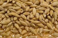 Quality and Sell Barley