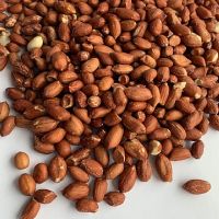 Quality and Sell Best peanuts
