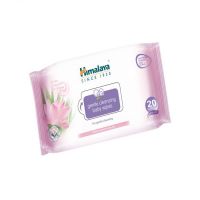 Quality and Sell Himalaya Gentle Cleansing Baby Wipes 20s