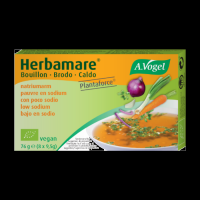 Quality and Sell A.Vogel Herbamare Bouillon 10g