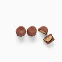 Quality and Sell Herbivore Nut Butter Cups Hazelnut 36g
