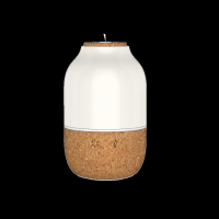 Quality and Sell Aura Botanical Diffuser 120ml