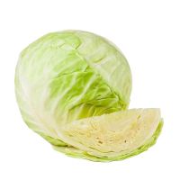 Quality and Sell fresh green cabbage