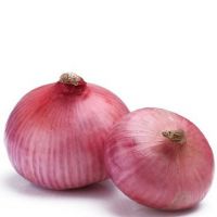 Quality and Sell Fresh Onions