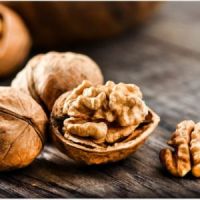 Quality and Sell Walnuts