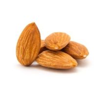 Quality and Sell Almond Nuts