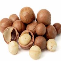 Quality and Sell Macadamia Nuts