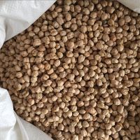 Quality and Sell Chickpeas