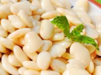 Quality and Sell Cooked white kidney beans