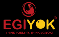 EGIYOK