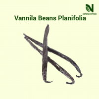 Vanilla Beans