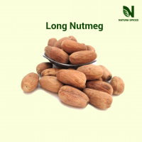 Nutmeg