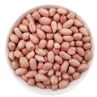 Peanuts, Melon seeds, Pecan Nuts, Pistachio nuts, Preserved Kernels
