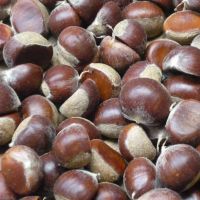 Chestnuts, Dreid Kernels, Ginkgo Nuts, Hazelnuts, Macadamia Nuts
