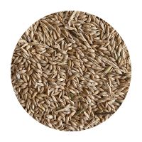 Barley, Buckwheat, Corn, Dried Grain Products, Millet