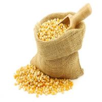 White Corn, Yellow Corn Other Grain