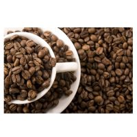 Arabica Coffee Beans