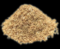Rice Husk, Rice Husk Charcoal, Rice Husk Ash
