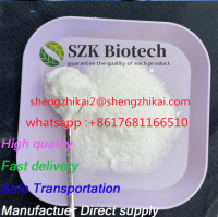 High Quality CAS 63-42-3 Lactose for Food Additive