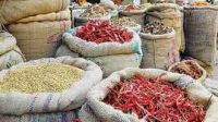 MINI IMPORT AND EXPORT OF DRIED AGRICULTURAL PRODUCTS