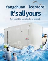 Good Quliaty Cold Room Cold Storage for Frozen Meat Seafood Vegetable and Fruits
