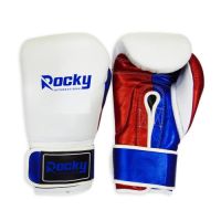 Boxing Gloves - 1  