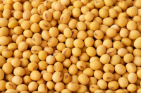 Soya beans