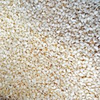SESAME SEEDS (Benne seeds)