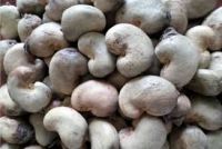 Organic Raw Cashew Nuts