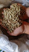 Robusta Green Coffee Indonesia Single Origin