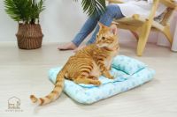 Pet cushion_Pet Beddings_Marshmallow Bedding Sets for Cats and Dogs