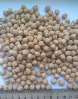  Chickpeas 