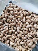 Premium Roasted Salted Cashews With Shell