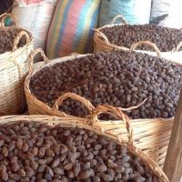 Malva Nut High Quality Good Price From Vietnam 2022 Ms.Karina +84 39 979 4665
