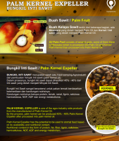 PALM KERNEL EXPELLER