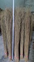 PALM EKEL BROOM STICK